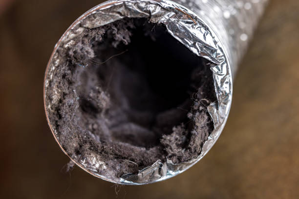 Best Duct Cleaning for Offices  in Ashville, OH